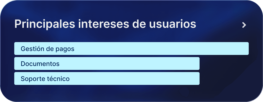 Principales intereses de usuarios: gestión de pagos, documentos y soporte técnico